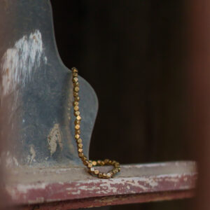 IGUAN MAR 2026-1-104