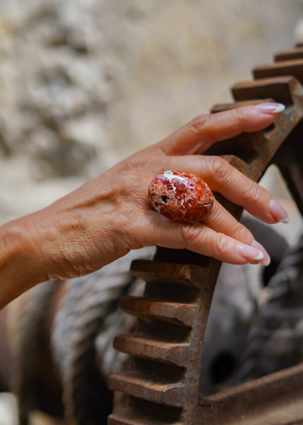 IGUAN 2025 ©INGRID MOYA -009