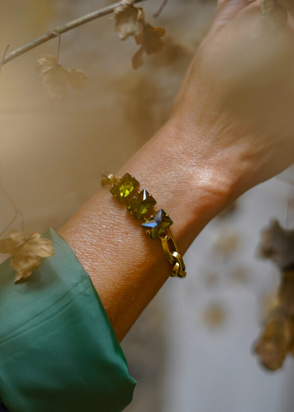 IGUAN 2025 ©INGRID MOYA -127