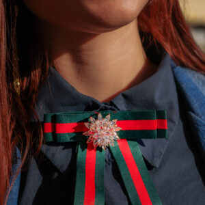 iguan NOV 2025_1 ©INGRID MOYA -053