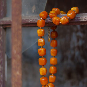 IGUAN MAR 2026-1-108