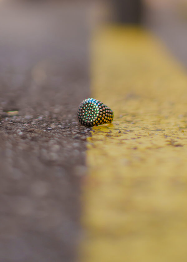 IGUAN MAR 2026-1-113