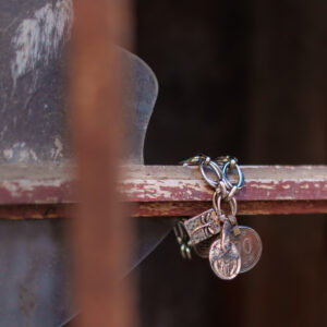 IGUAN MAR 2026-1-118