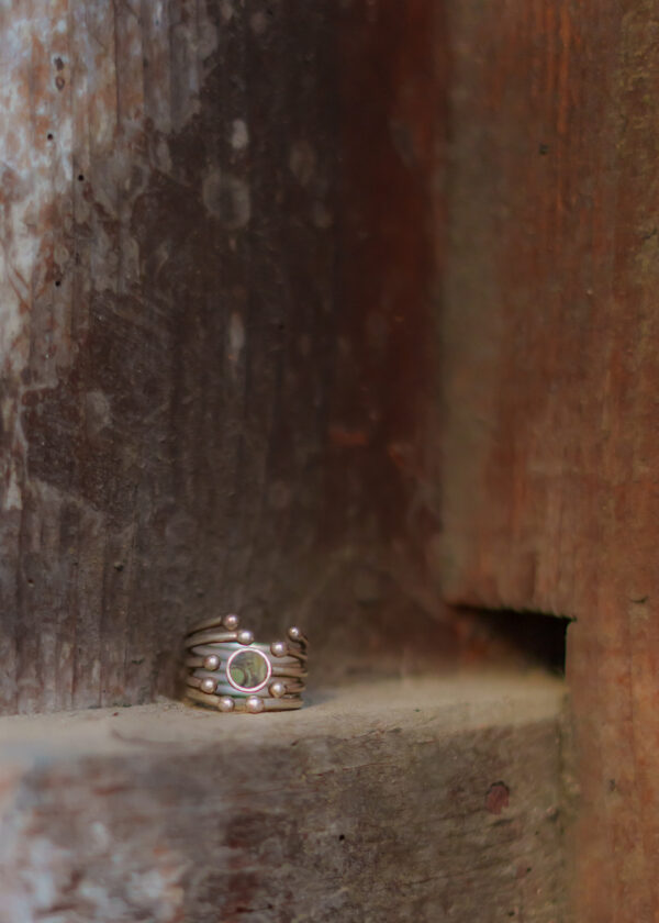 IGUAN MAR 2026-1-105