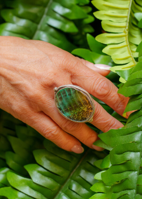 IGUAN APR 2026-1 @Ingrid MOYA-21