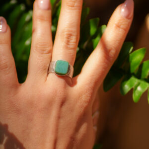 IGUAN APR 2026-1 @Ingrid MOYA-6