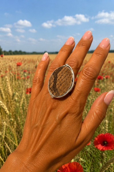 BAGUE OVALIE PYTHON